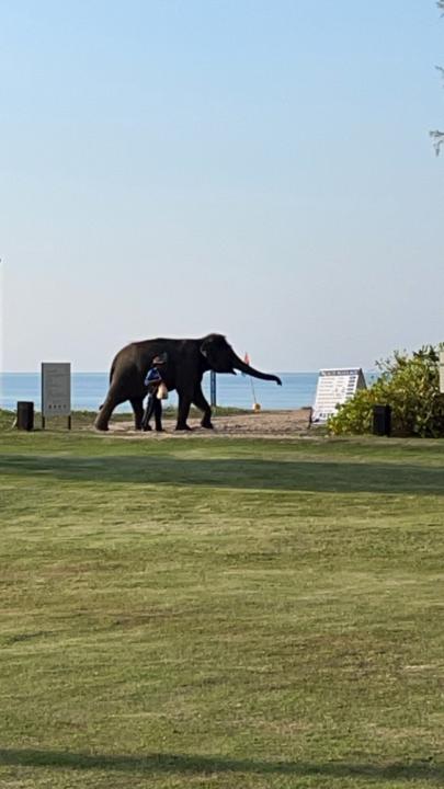 Bernhardt Kronnerwetter