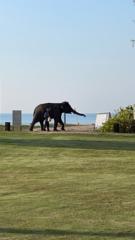 Bernhardt Kronnerwetter