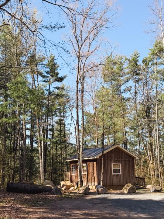 Cabin Post: Finding Signal in the Age of Noise
