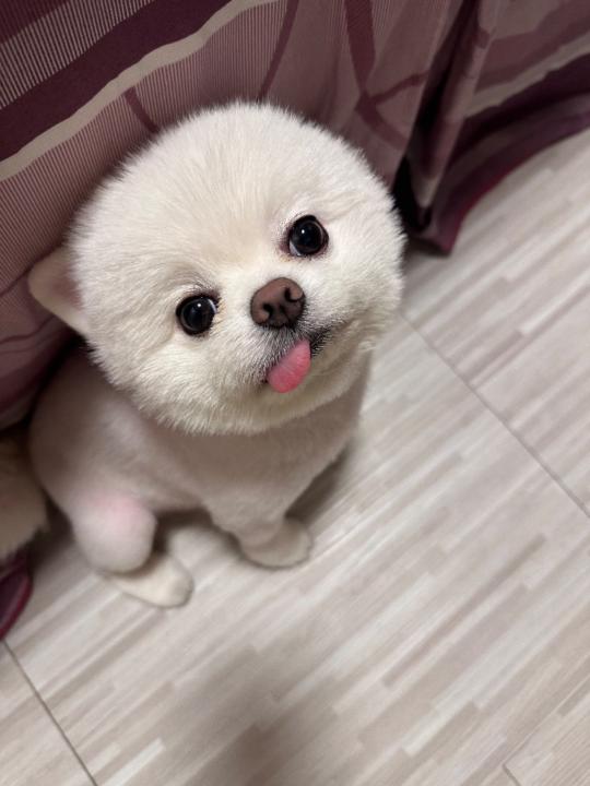 小 小班