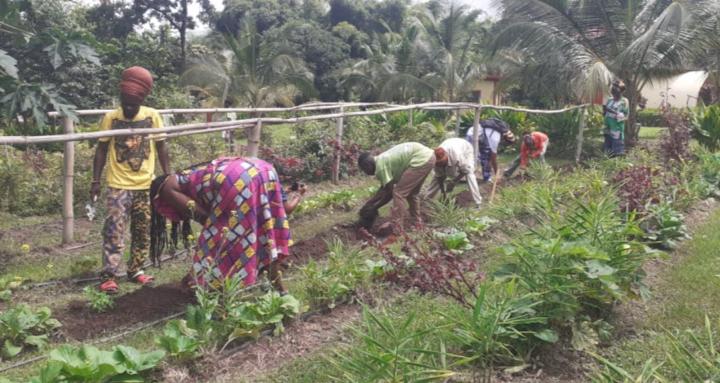 Green Sustainable Strong