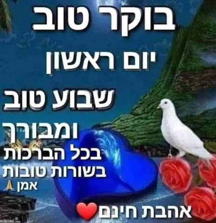 אירית גור