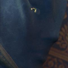 Matthias Villemont