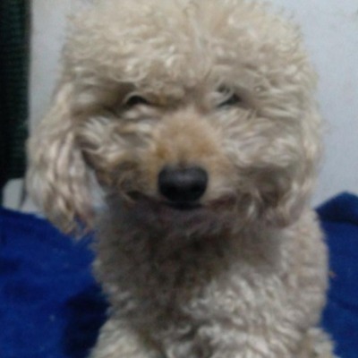 Leonardo Erik Fabio Quipildor