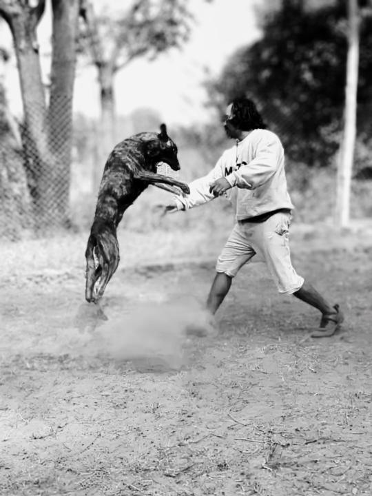 Kashi Vishweshwar