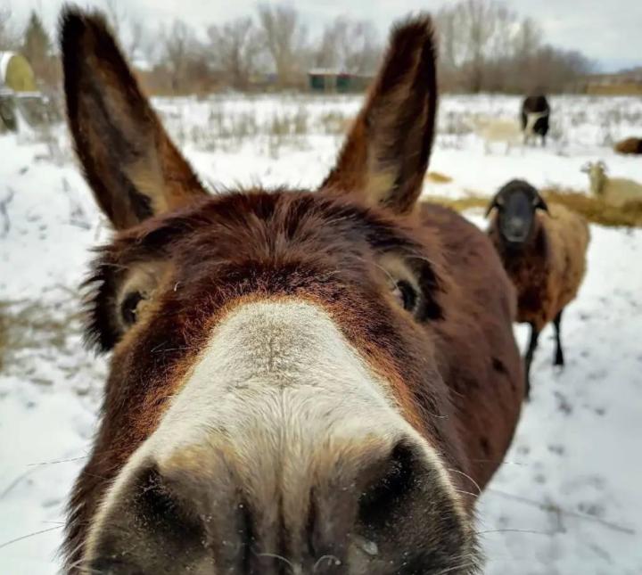 Konstantin Gerasymenko