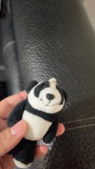 Chen Oscar