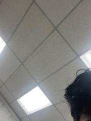 Ryan V