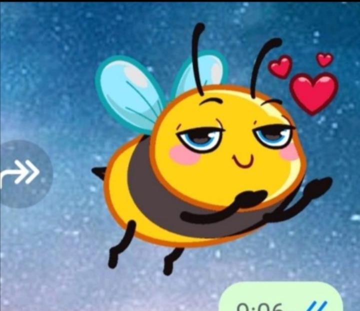 Maria Ángeles Bautista Jurado