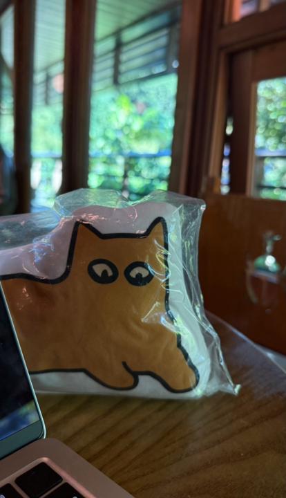 直播抽中 skool "貓貓“ 好開心～