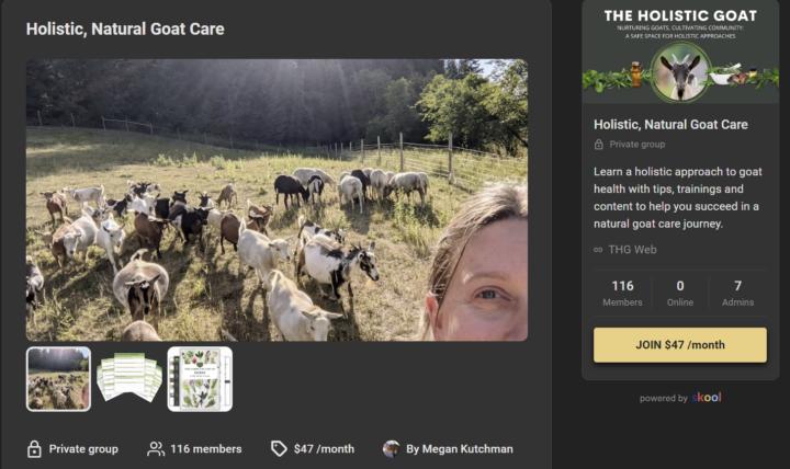 (利基案例)Skool山羊群 被動收入17萬