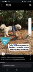 Νίκη Κεσίδου