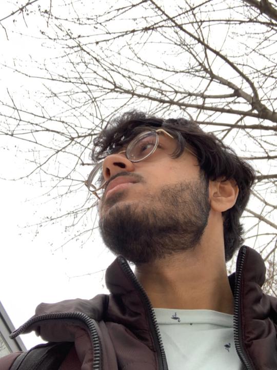 Anas Puthawala