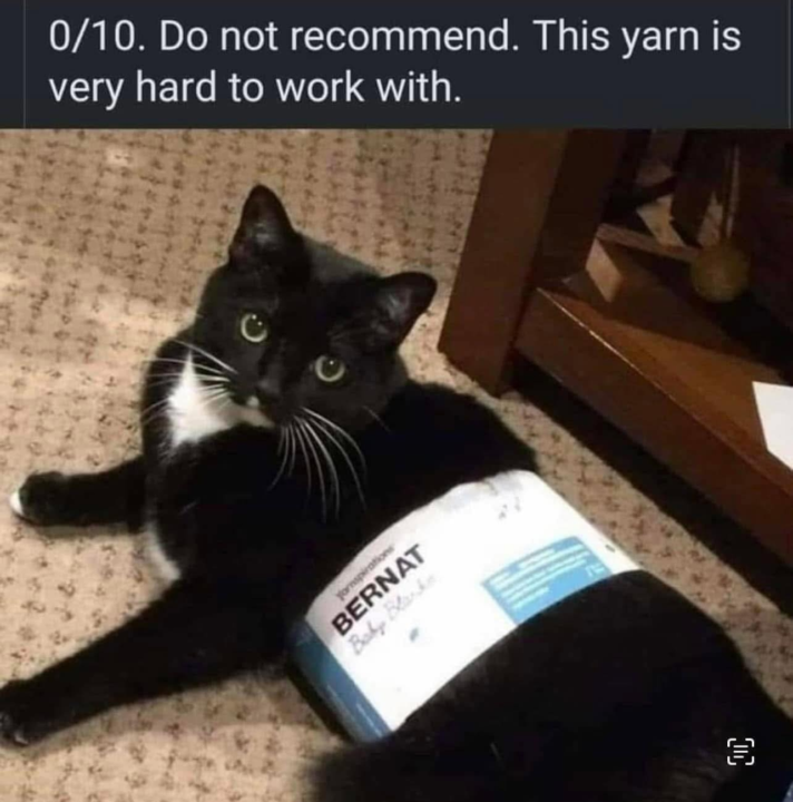 Thought I'd make you hoomans laugh