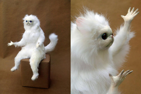 'Caption This Chaos' Challenge 😹✍️