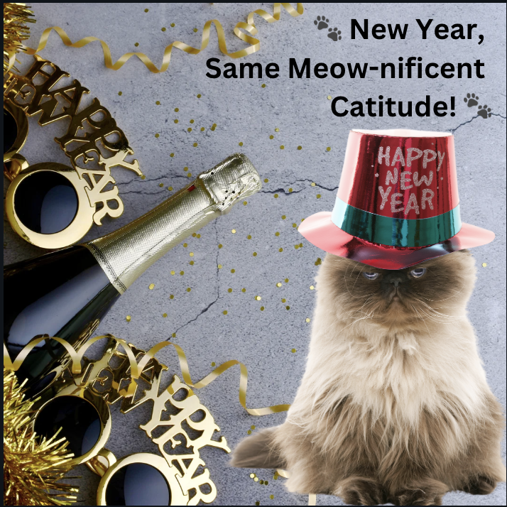 A Cat-tastic New Year’s 