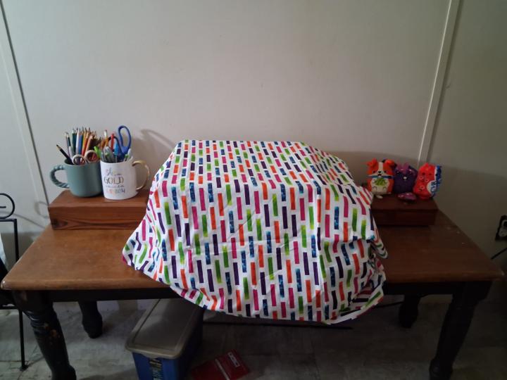 A Gift to Self or An Investment?