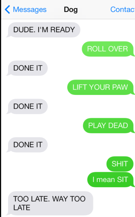 If your pet could text you what would they text?