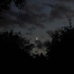 Unzila Sehrish