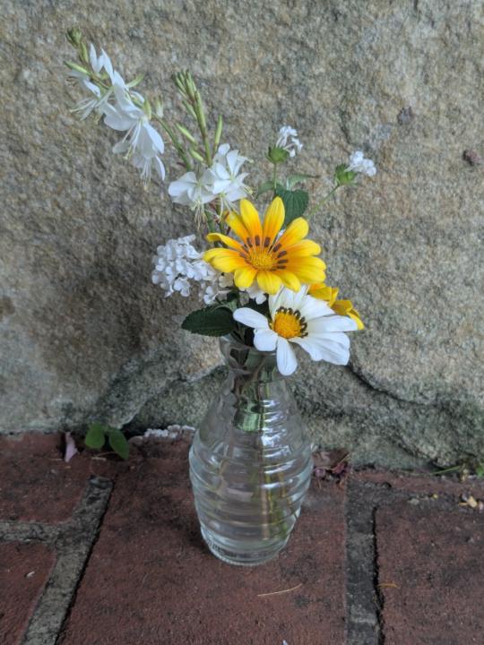 Meenakshi Aravindhan