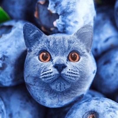 Maurice A