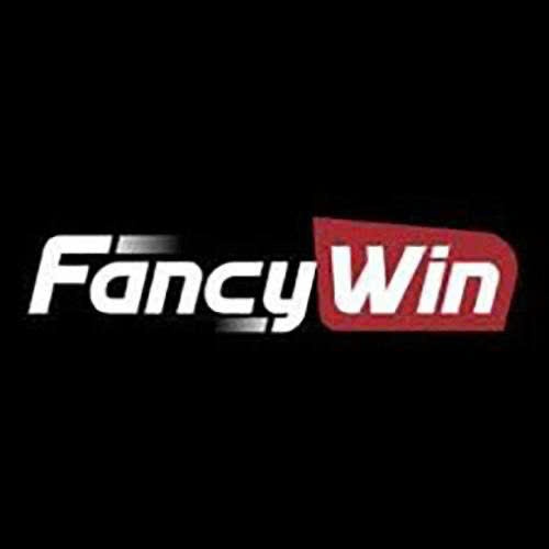 Fancywin Top