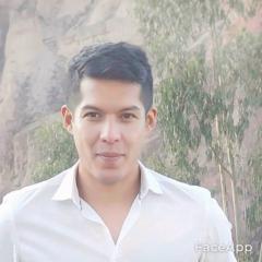 Javier Viscarra Fernández