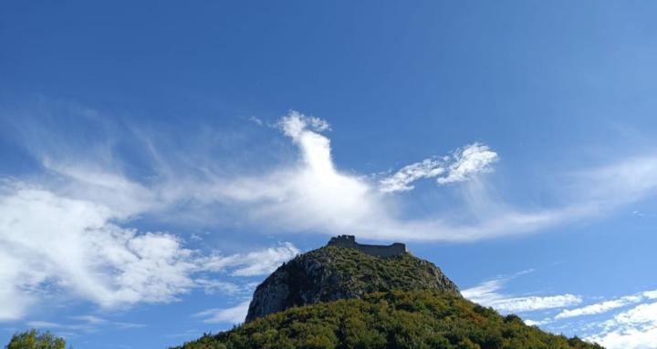 Vrijheidscoach Stéphanie 