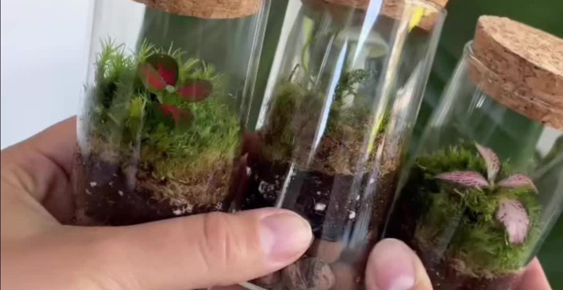 Micro Ecosystem