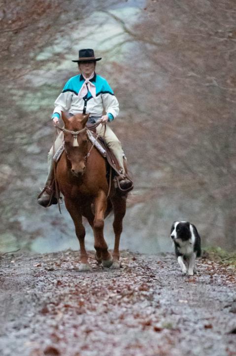 Marktsonntag: Duke, der 13,5jährige Labrador