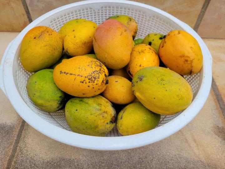 Marktsonntag - Auf der Suche nach visionären Partnern: Aufbau einer globalen, süßen Gemeinschaft 🌍🍯