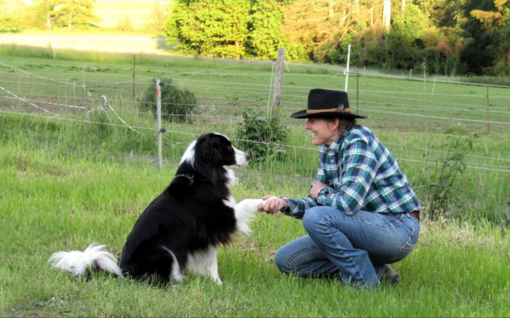 Marktsonntag: Wie mein Hund Tiffie wieder gesund wurde