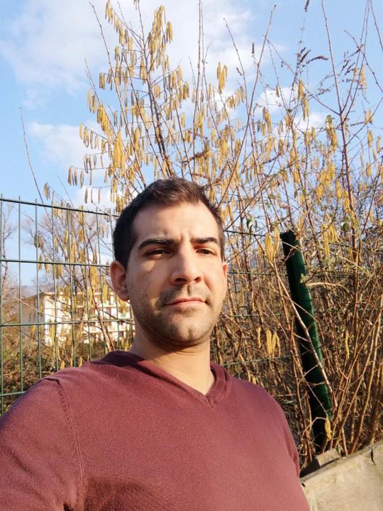 Dany Ribeiro