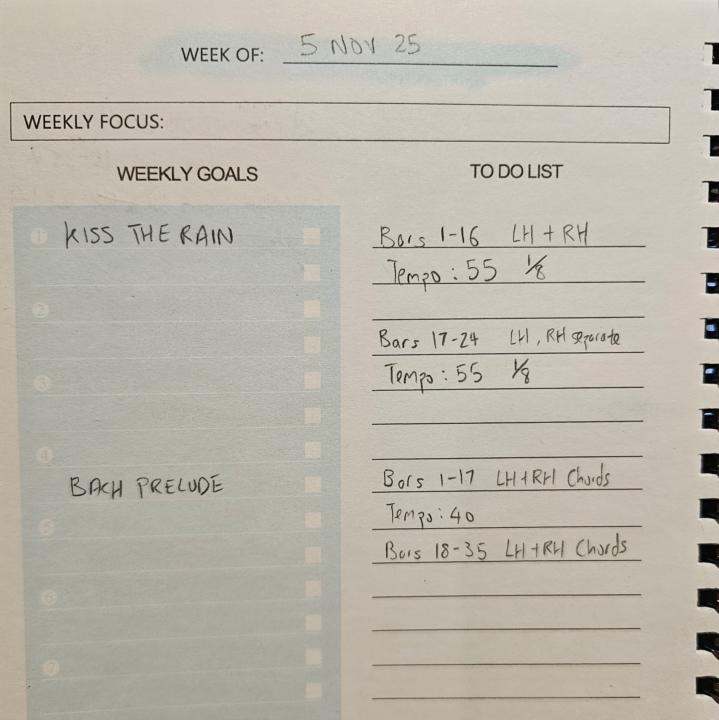 Practice Journal for the week