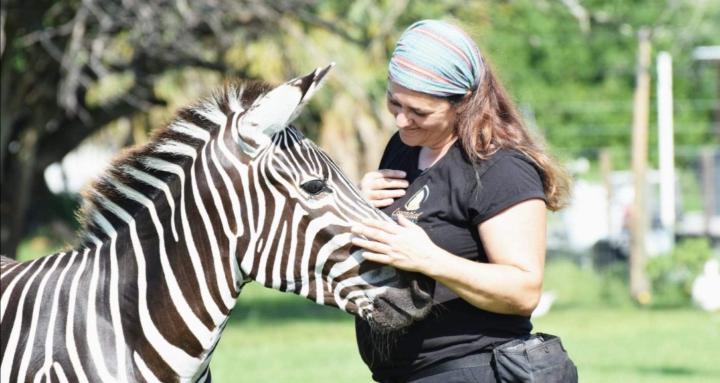 Essential Animal Training