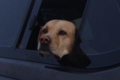 Tristyn James Khourie