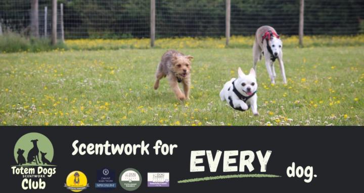 Totem Dogs Scentwork Club