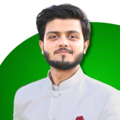 Syed Haseeb Ul Hassan