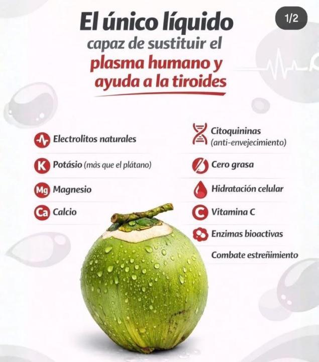 Coco 🥥 coco 🌴 