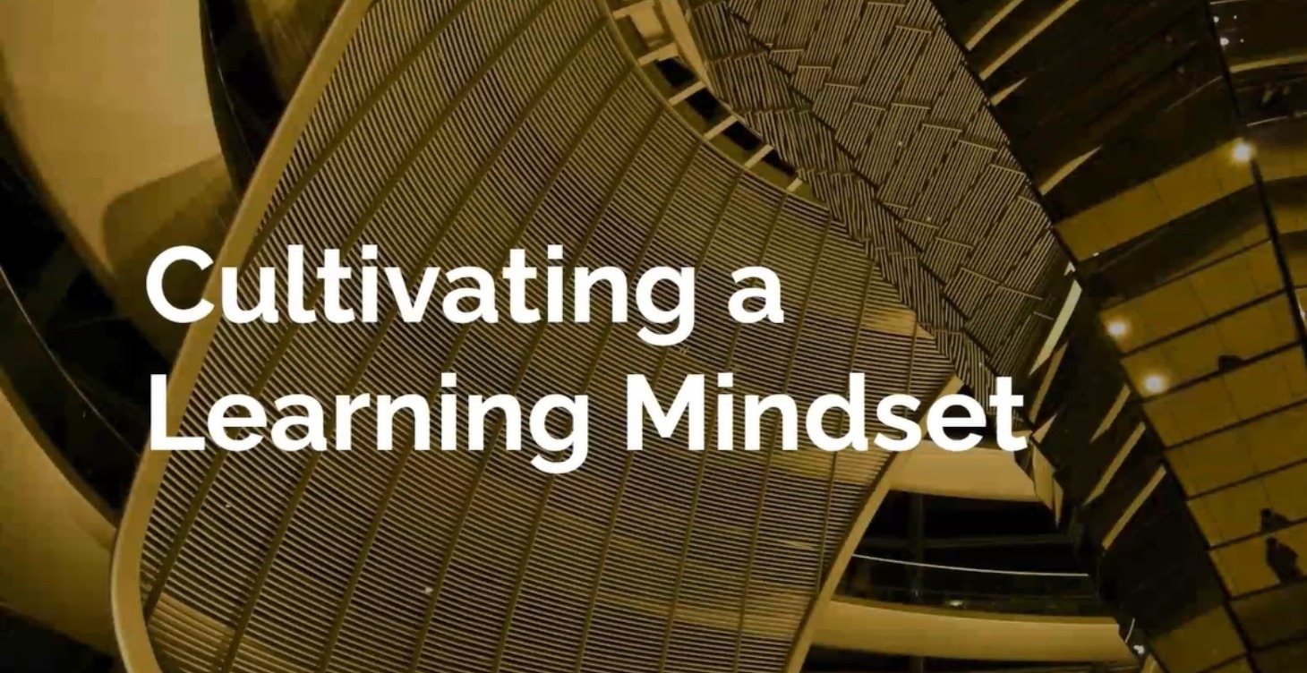 Cultivating a Learning Mindset