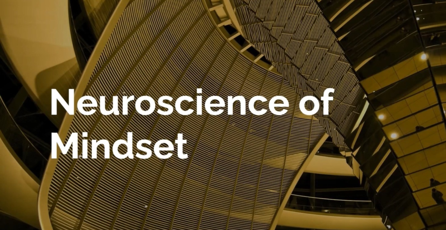 Neuroscience Of The Mindset