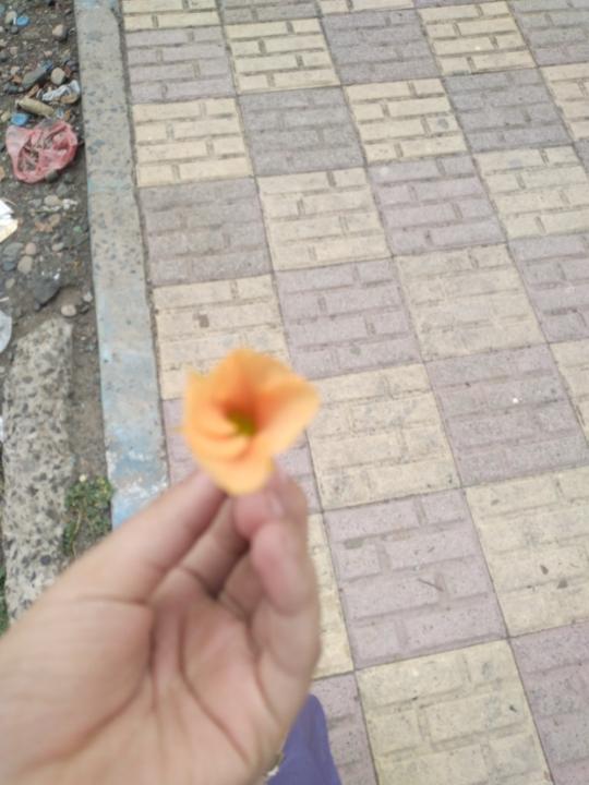 علي باطرفي
