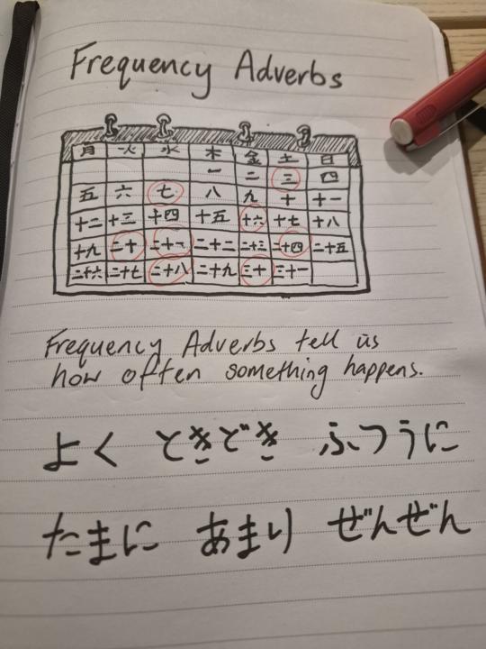 Frequency Adverbs