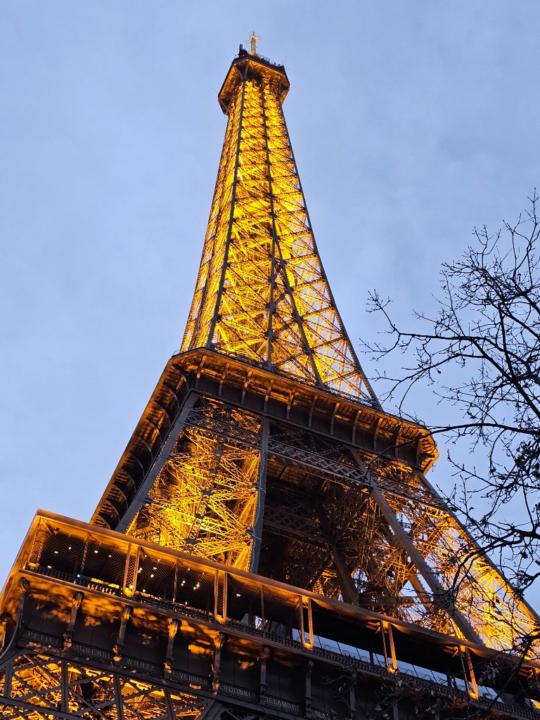 Beatriz Rodríguez García