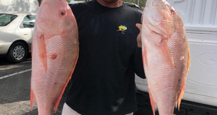 How to bottom fish florida