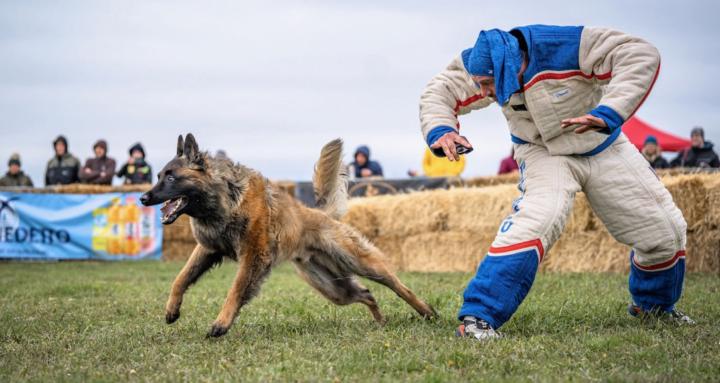 BelgianFurMissile Academy