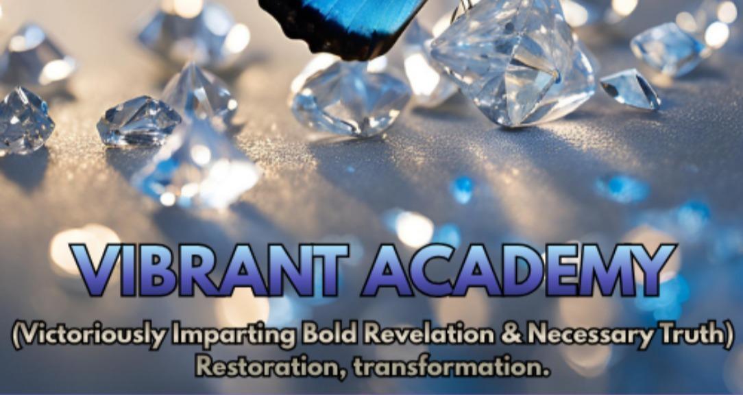Vibrant Academy