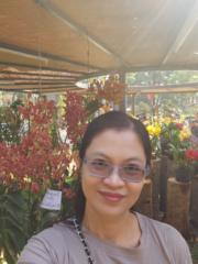 Phạm Vân