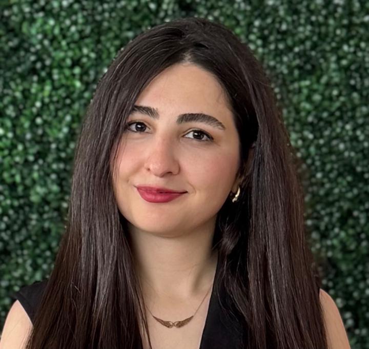 Parisa Azizian