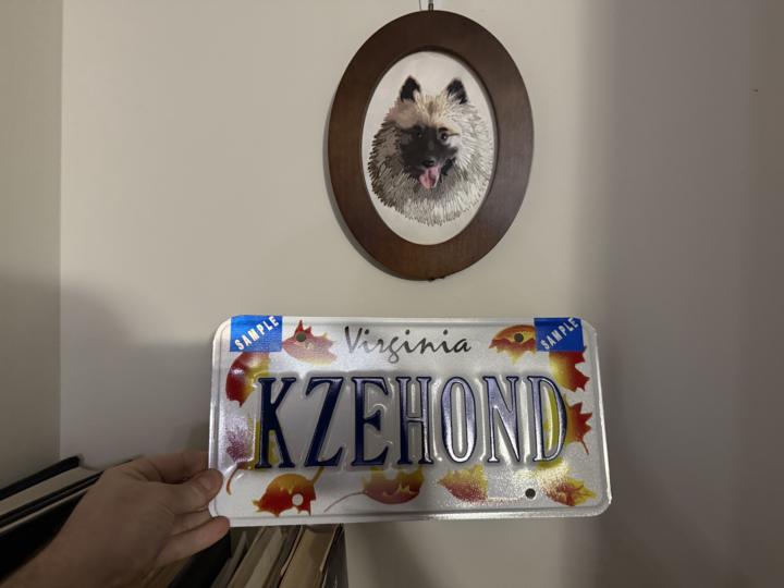 Anyone else have pet related plates?